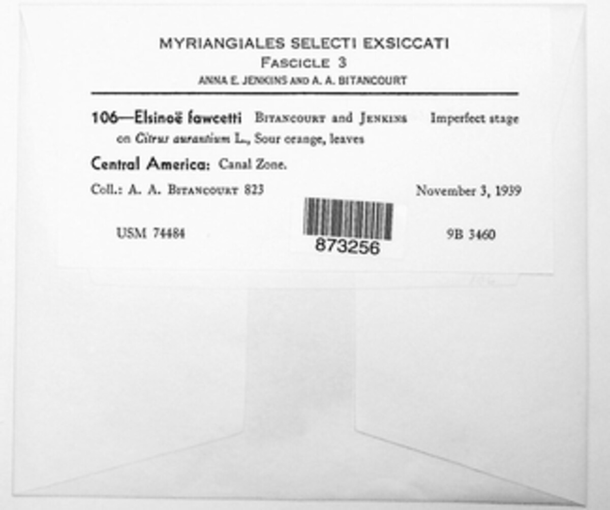 Elsinoe fawcettii image